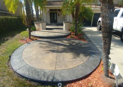 A concrete driveway with palm trees and palm trees.